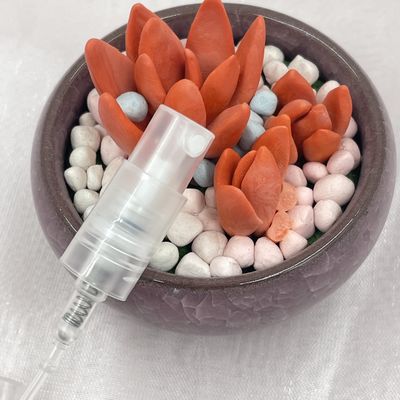 Colore su misura dello spruzzatore 11/410 della pompa del profumo della foschia con il cappuccio pieno dei pp